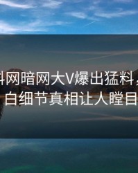 刚刚爆料网暗网大V爆出猛料，真相大白细节真相让人瞠目