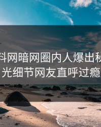 今晚爆料网暗网圈内人爆出秘闻，曝光细节网友直呼过瘾