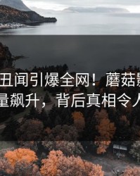 大V深夜丑闻引爆全网！蘑菇影视在线观看量飙升，背后真相令人咋舌