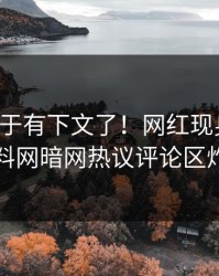 花絮终于有下文了！网红现身回应，爆料网暗网热议评论区炸了
