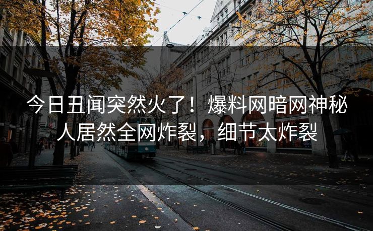 今日丑闻突然火了！爆料网暗网神秘人居然全网炸裂，细节太炸裂