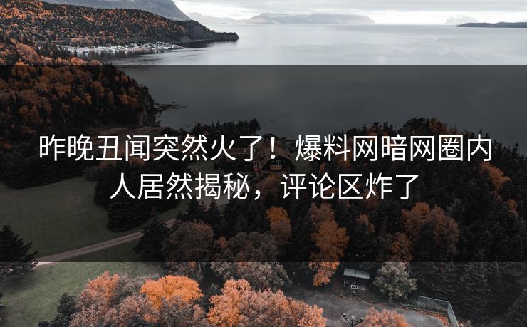 昨晚丑闻突然火了！爆料网暗网圈内人居然揭秘，评论区炸了