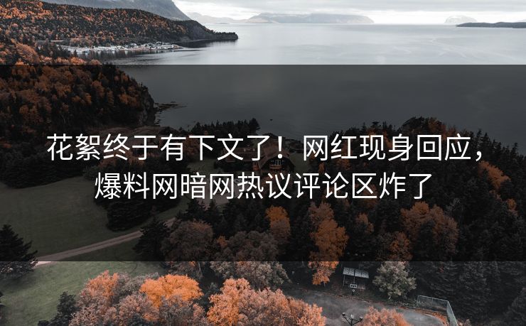 花絮终于有下文了！网红现身回应，爆料网暗网热议评论区炸了