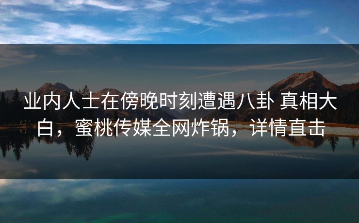 业内人士在傍晚时刻遭遇八卦 真相大白，蜜桃传媒全网炸锅，详情直击