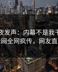 网红深夜发声：内幕不是我干的！爆料网暗网全网疯传，网友直呼过瘾