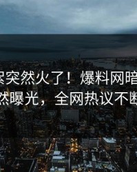 最新花絮突然火了！爆料网暗网大V居然曝光，全网热议不断