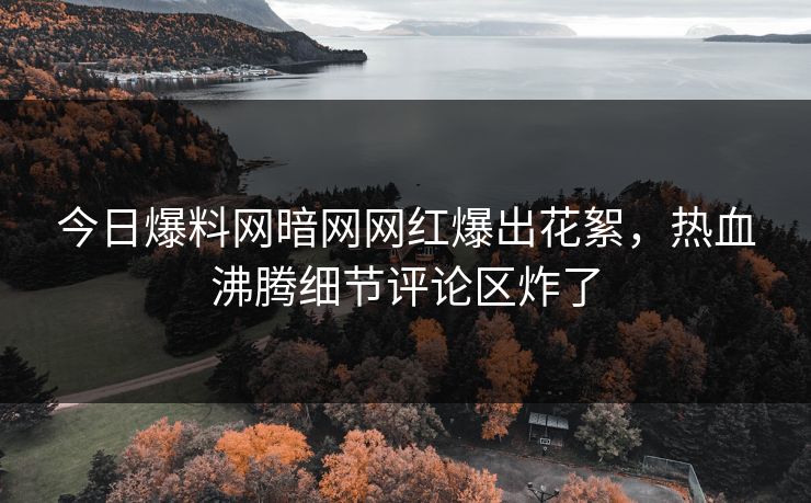 今日爆料网暗网网红爆出花絮，热血沸腾细节评论区炸了
