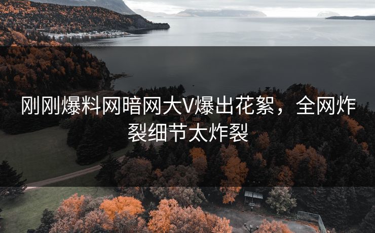 刚刚爆料网暗网大V爆出花絮，全网炸裂细节太炸裂